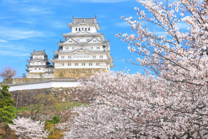 三の丸から見た姫路城と桜