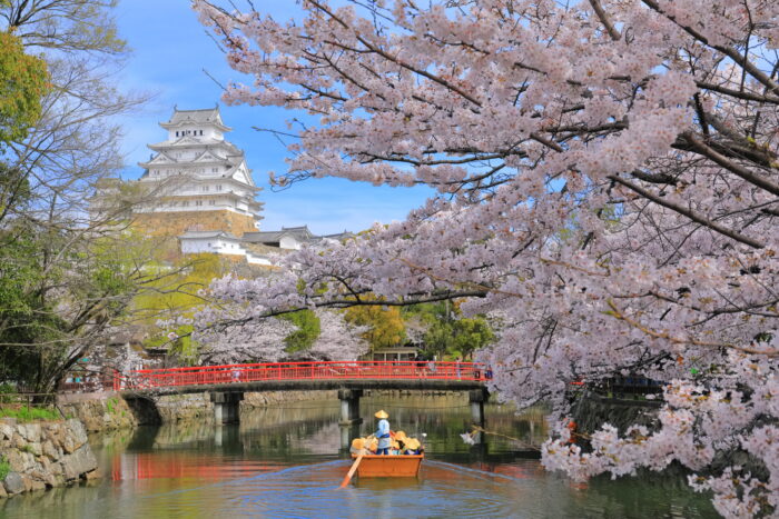 城見橋と姫路城と桜