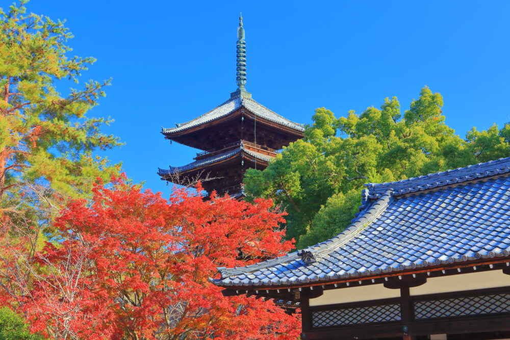 仁和寺の五重塔と紅葉