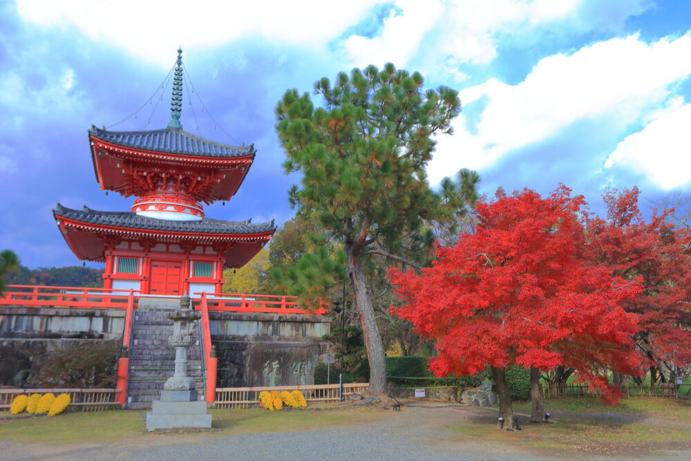 大覚寺の心経宝塔と紅葉