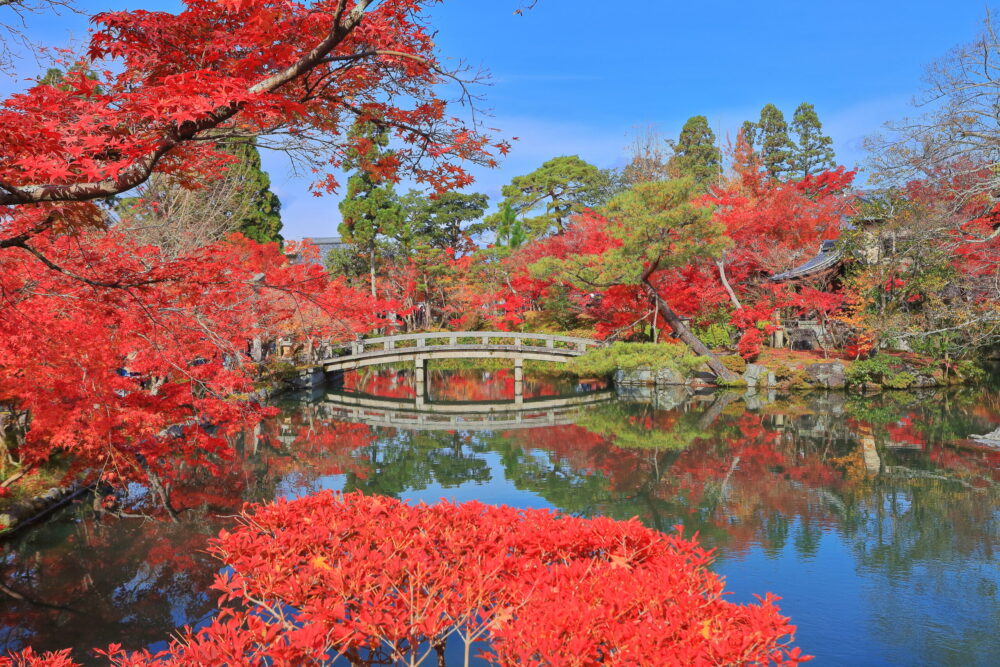 永観堂の放生池の紅葉